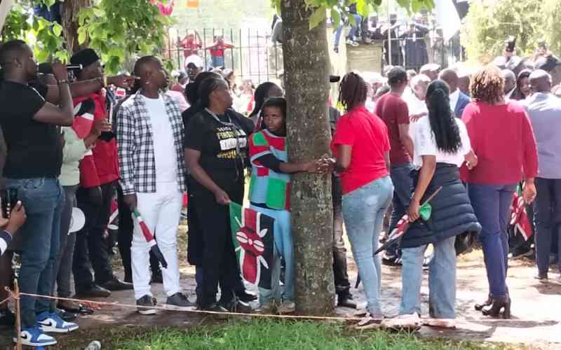 'All hail Truphena': Environmentalist hugs tree for 72 hours 'All hail Truphena': Environmentalist hugs tree for 72 hours