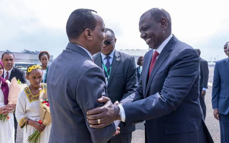 'Hustler' cruises into Addis Ababa in style aboard lavish Sh1.4b jet 'Hustler' cruises into Addis Ababa in style aboard lavish Sh1.4b jet