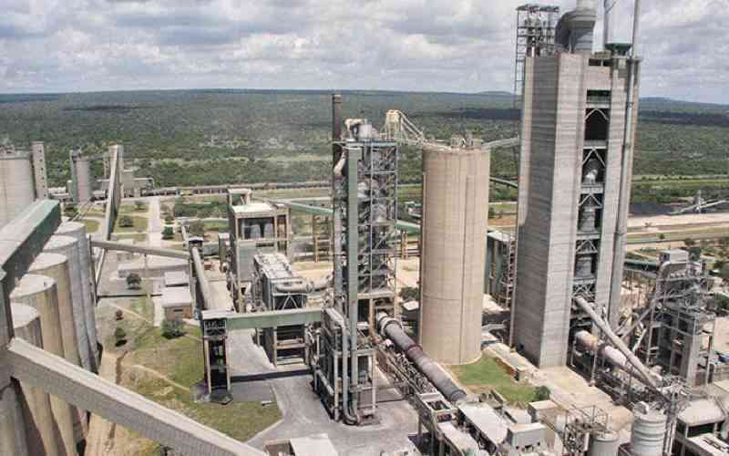 'Not for sale': Why MPs slammed brakes on Tanzanian billionaire's cement empire 'Not for sale': Why MPs slammed brakes on Tanzanian billionaire's cement empire