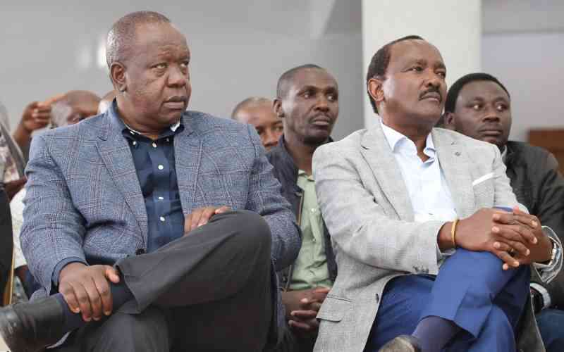 'You will not steal our votes'- Opposition warns Ruto ahead of 2027 'You will not steal our votes'- Opposition warns Ruto ahead of 2027