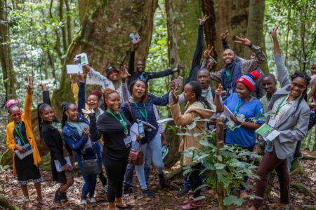 AFF, SLU and KEFRI launch AfricanYouth4Forests virtual community dedicated to empowering youth in sustainable forestry