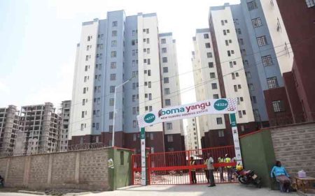 Affordable housing project feted for promoting urbanisation, decent living