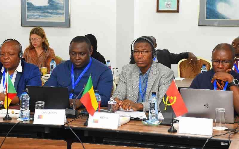African maritime leaders urged to support global shipping emissions rule African maritime leaders urged to support global shipping emissions rule