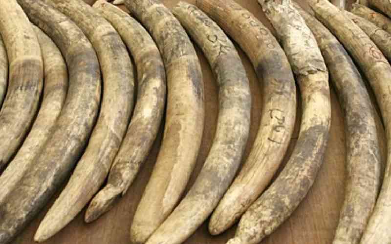 Animal trafficking reaches record high in 2025: Interpol Animal trafficking reaches record high in 2025: Interpol