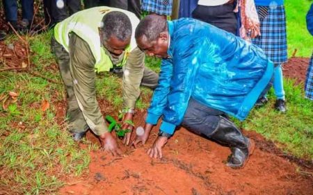 Apple farming takes root in Murang'a in new drive