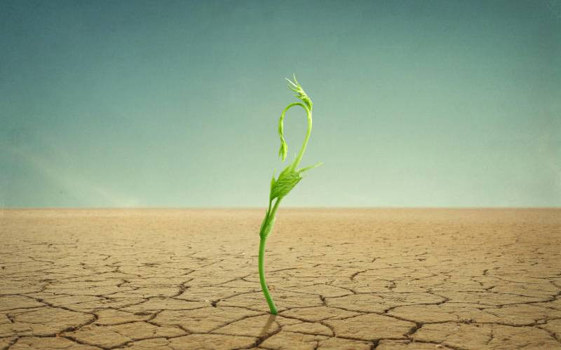 As Iran's record drought and cheap fuel spark pollution, causes run deep As Iran's record drought and cheap fuel spark pollution, causes run deep