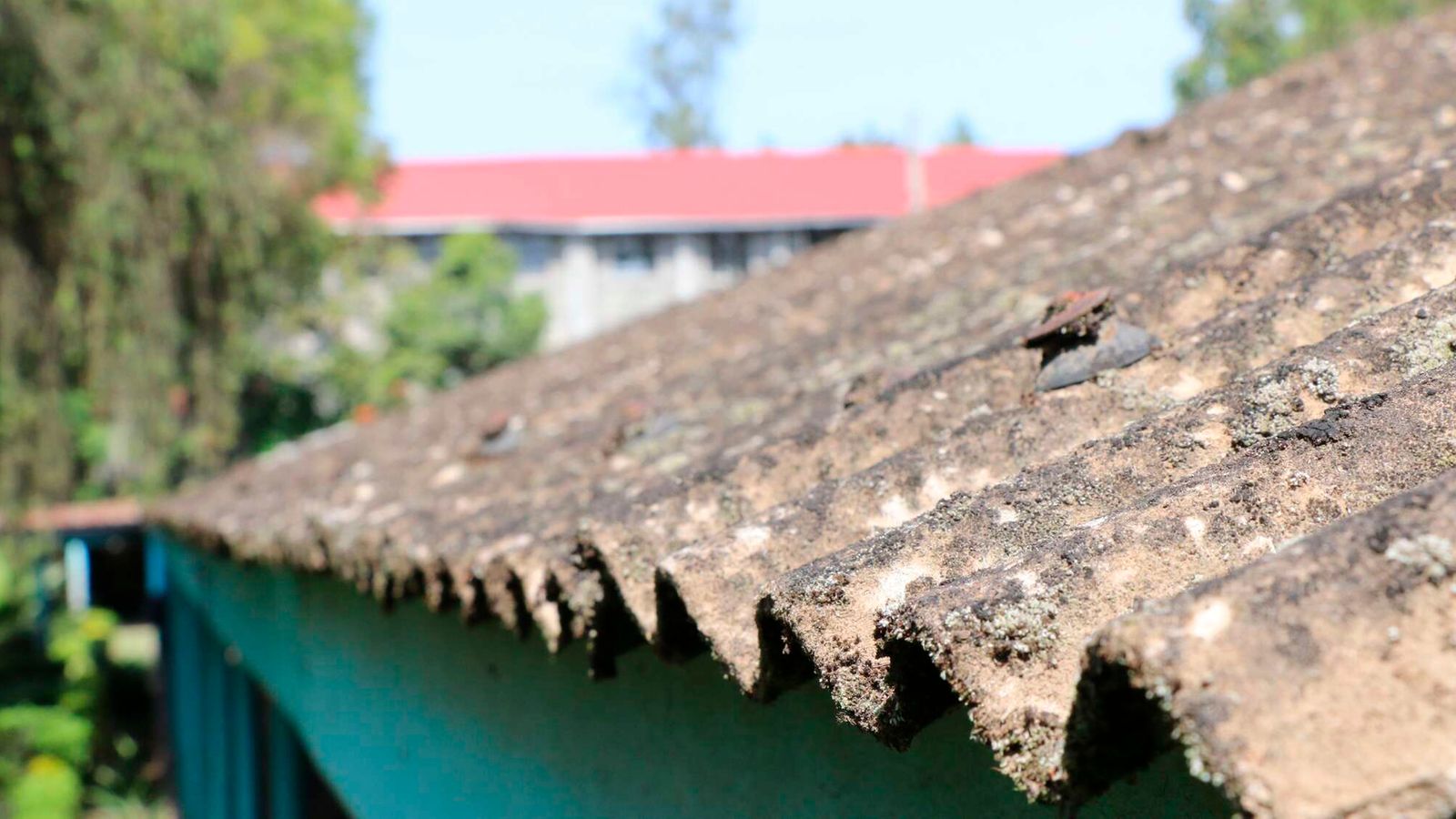 Asbestos trap in top schools Asbestos trap in top schools