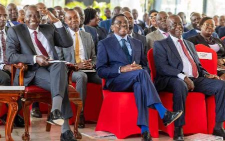 Big man syndrome: Patronage has been the formula for resource allocation