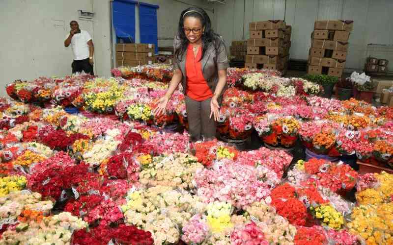 Blooms of abuse: Why Kenya's flower exports risk EU ban Blooms of abuse: Why Kenya's flower exports risk EU ban