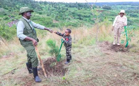 Blow for Ruto as court declares Climate Council appointments unconstitutional