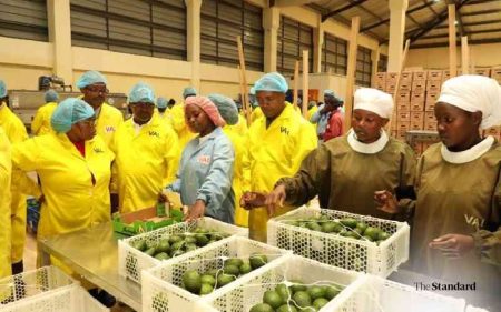 Boost as agency proposes halving consignment fee for local exporters