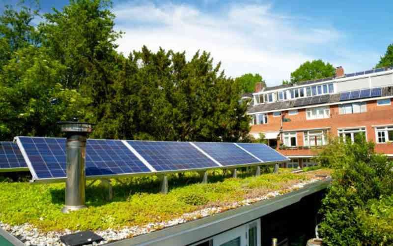 Building green future via sustainable construction, climate-resilient design Building green future via sustainable construction, climate-resilient design