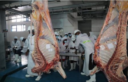 CS Kagwe: How livestock sector is a cornerstone of Kenya’s economy