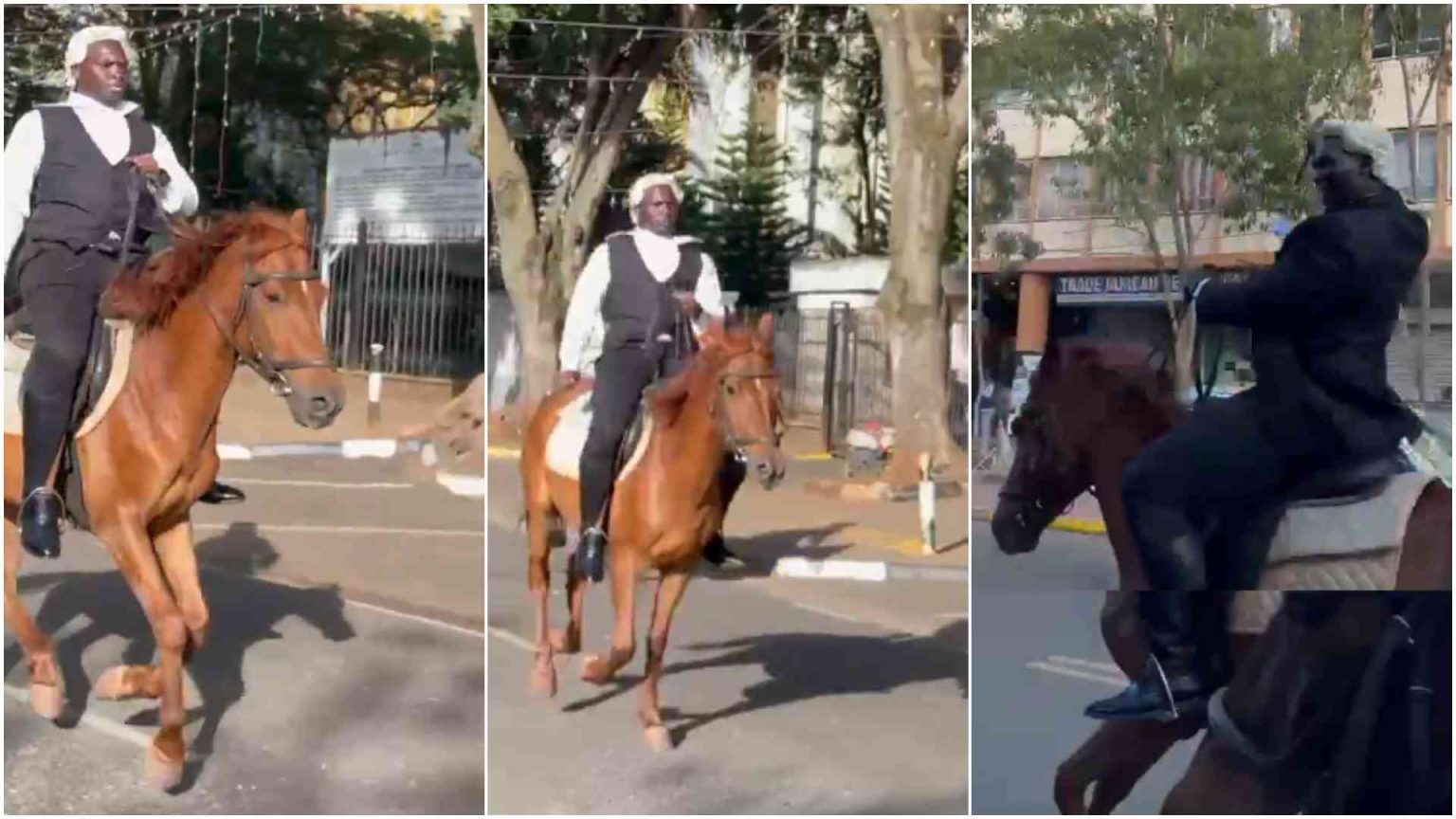 City lawyer steals show with majestic cowboy-on-horseback entrance at Supreme Court bar admission City lawyer steals show with majestic cowboy-on-horseback entrance at Supreme Court bar admission