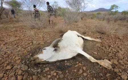 Climate crisis deepens hitting Kenya's most vulnerable first