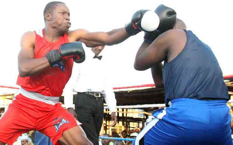 Counties target national boxing event positions Counties target national boxing event positions