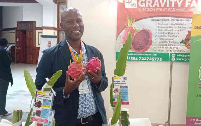 Desert Gold: The high-return fruit transforming arid Kenya Desert Gold: The high-return fruit transforming arid Kenya