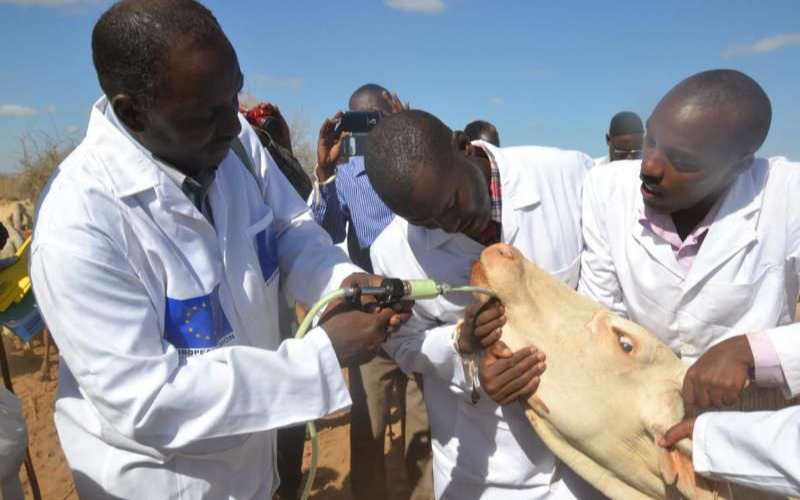 Dewormers: Why resistance is rising Dewormers: Why resistance is rising