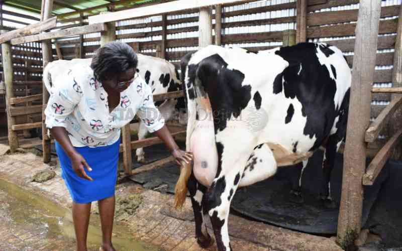 Disease detection drive boost for livestock farmers Disease detection drive boost for livestock farmers
