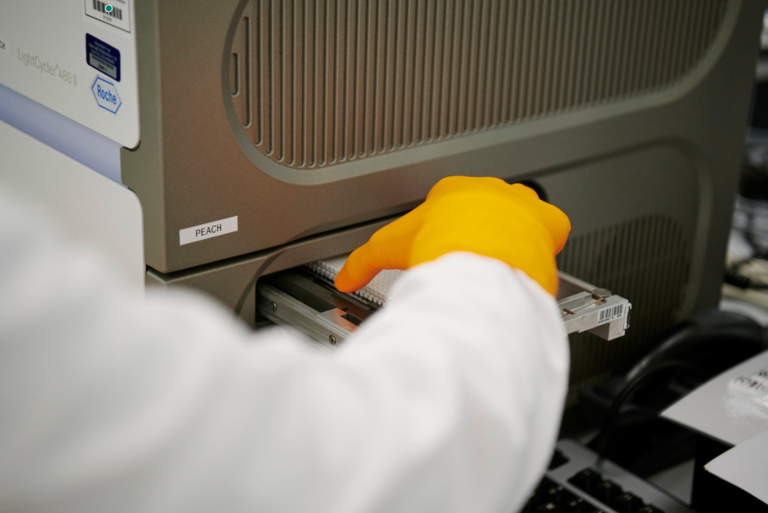 Dr Pauline Kibui: Effective strategies to promote gender parity in STEM fields