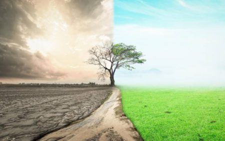 Earth Day is a reminder of our duty to nature