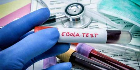 Emergency vaccines slash deaths by 60pc: study