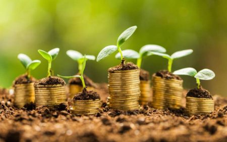 Empower farmers for genuine economic growth, less politics