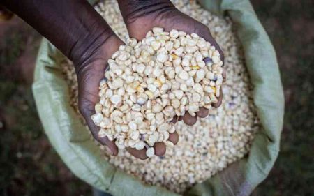 Farmers being exploited by brokers, middlemen