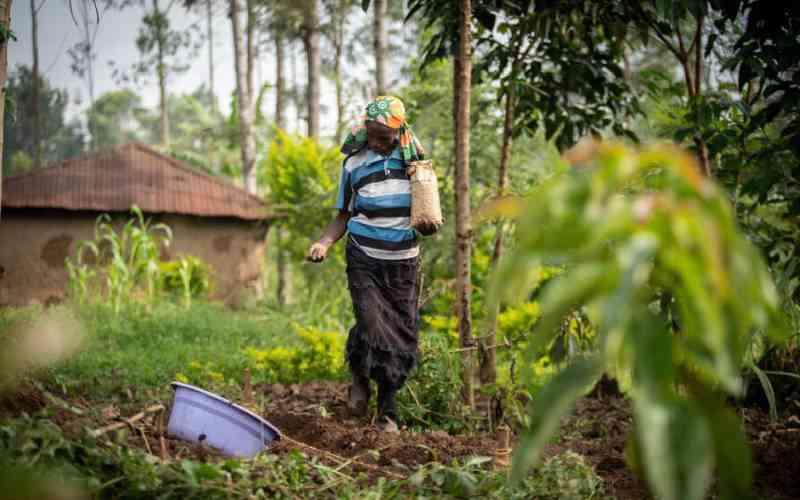 Farmers urged to adopt climate smart seeds to combat climate change and boost yields Farmers urged to adopt climate smart seeds to combat climate change and boost yields