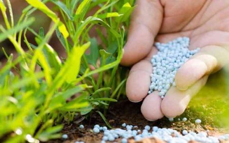 Fertiliser subsidy: A double-edged sword driving firms out of business