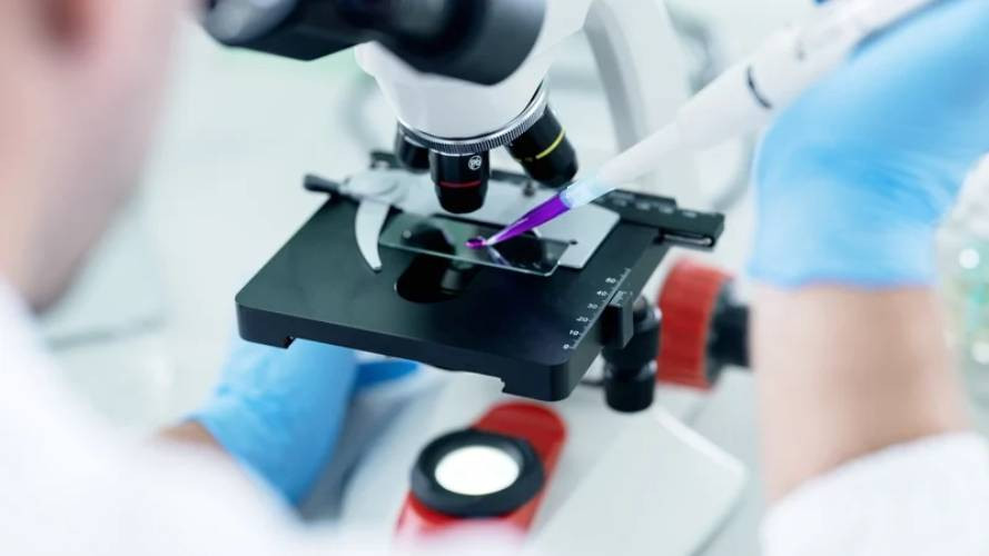 France reports first human Shamonda virus case France reports first human Shamonda virus case