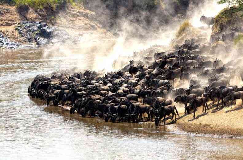 From moratorium to migration myths: Untangling Ritz Carlton Mara dispute From moratorium to migration myths: Untangling Ritz Carlton Mara dispute