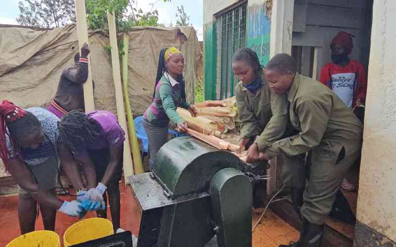 From rot to revenue: How farmers are redefining waste into wealth From rot to revenue: How farmers are redefining waste into wealth