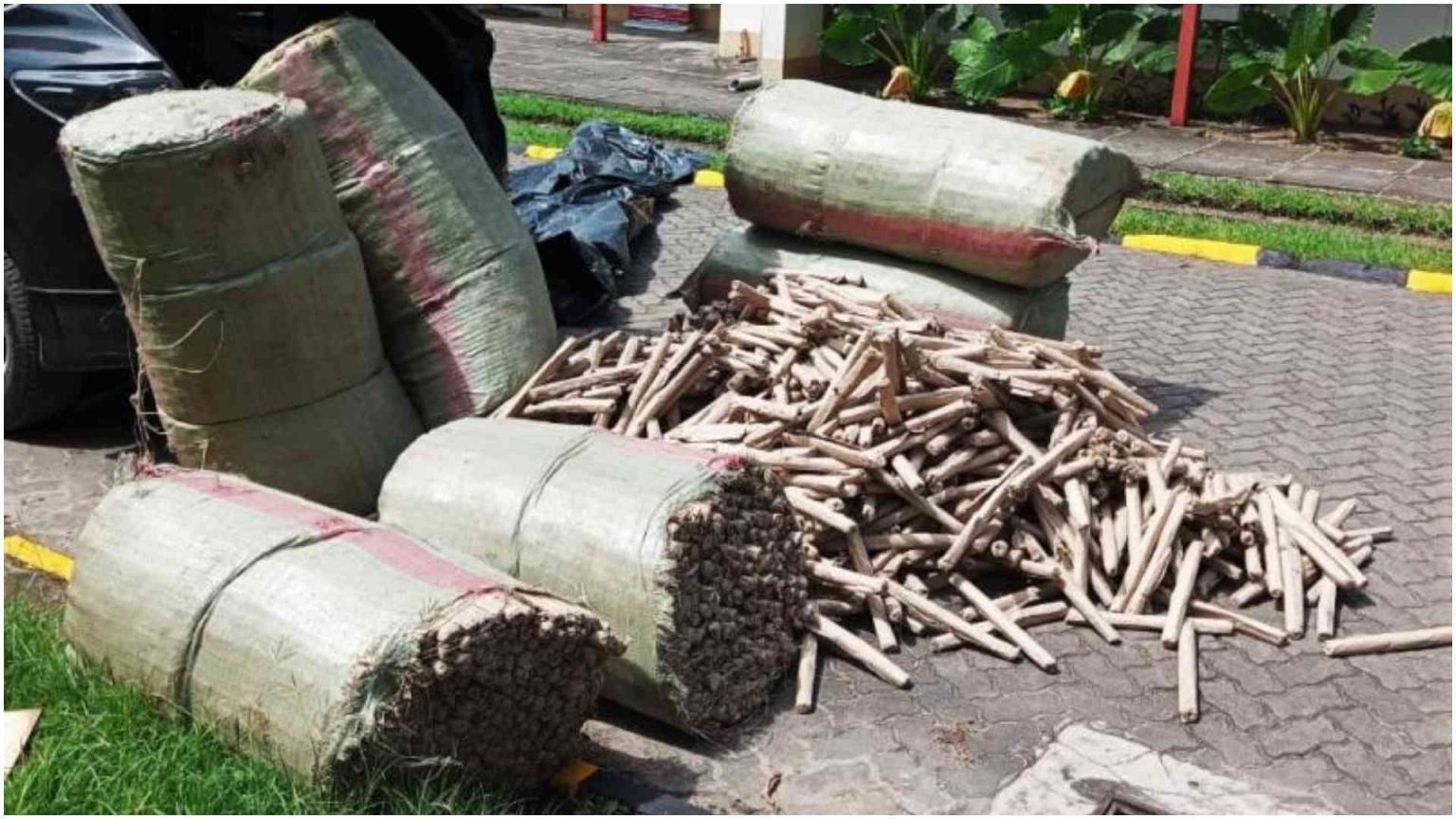 Ganja land: Sleepy Luanda market where marijuana and gangs define daily life
