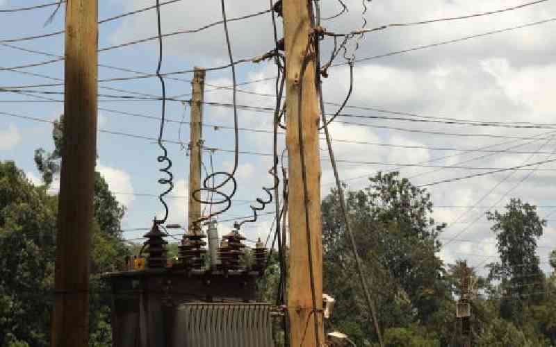 Global partnerships will step up Kenya's growing power grid Global partnerships will step up Kenya's growing power grid