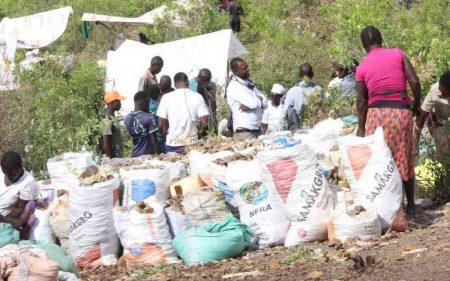 Gold discovery excites locals, cuts fishing pressure on Lake Victoria