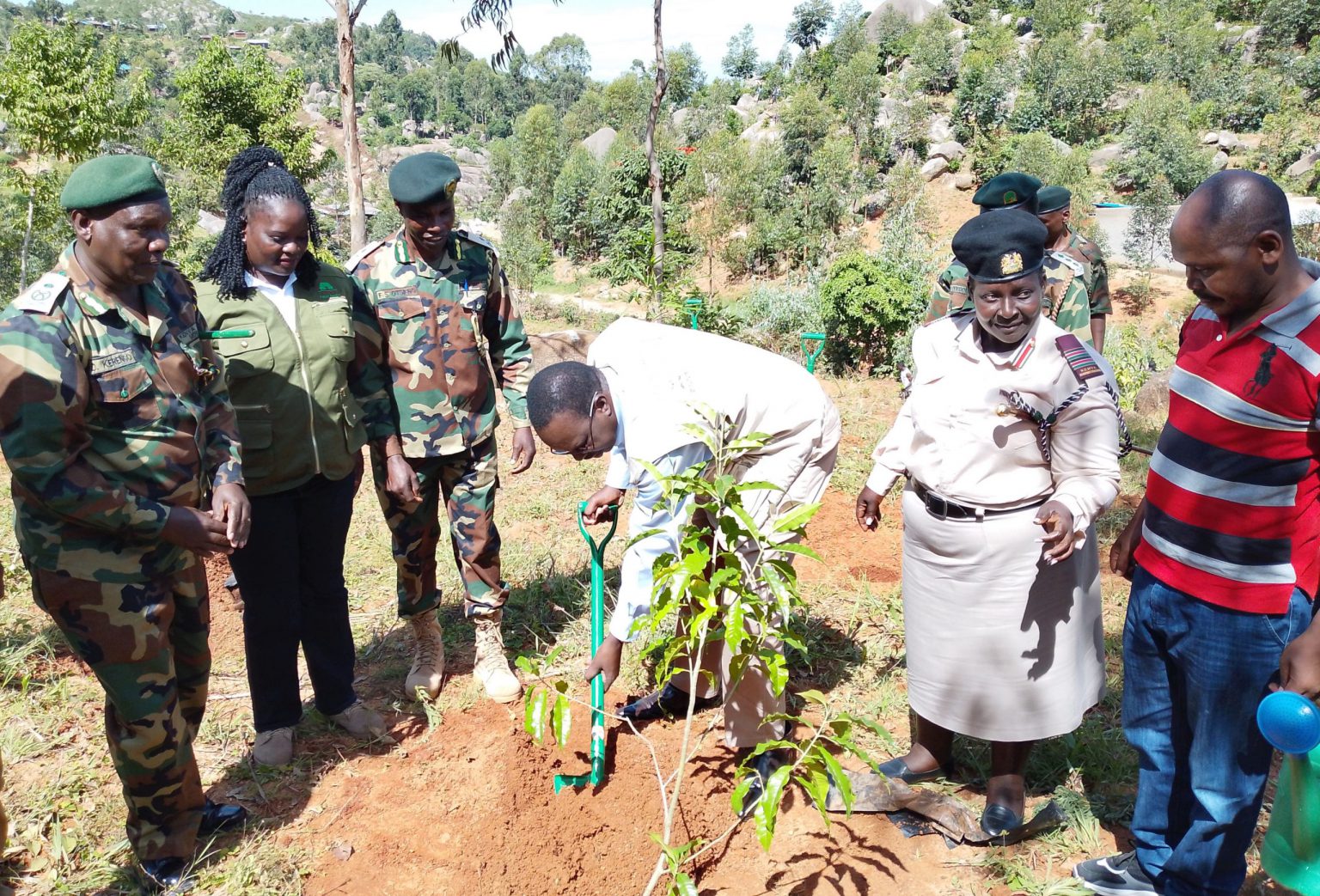Government ramps up reforestation efforts in Maragoli Hills