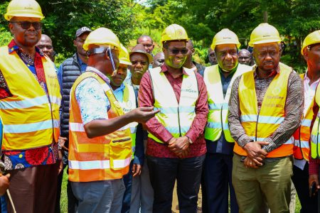 Govt earmarks Ksh 799M for energy projects in South Nyanza