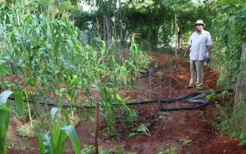 Green tech no longer a future ambition but a trade revolution Green tech no longer a future ambition but a trade revolution