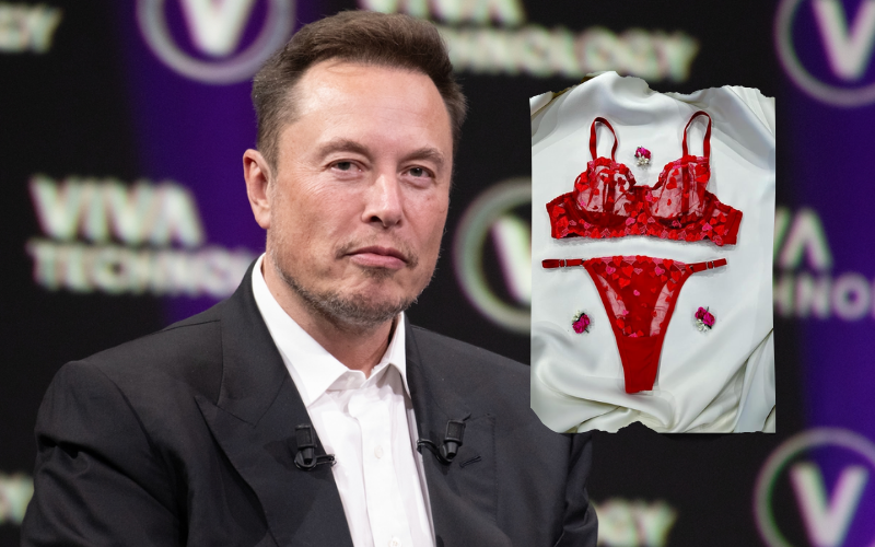 Grok: How bikini photo manipulation by Musk’s AI sparked worldwide crackdown Grok: How bikini photo manipulation by Musk's AI sparked worldwide crackdown