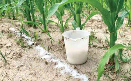 Harnessing devolution to transform agriculture