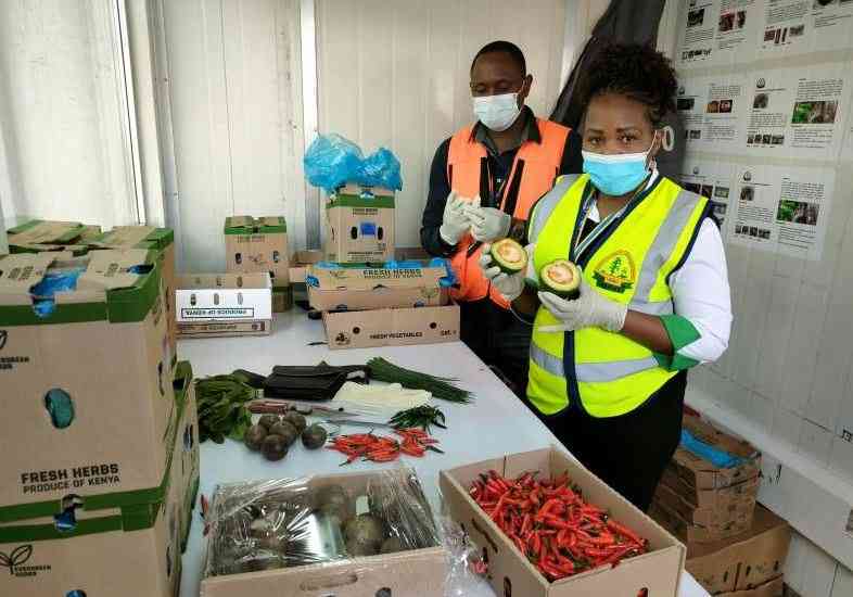 How single-window policy locks exporters out of global trade How single-window policy locks exporters out of global trade