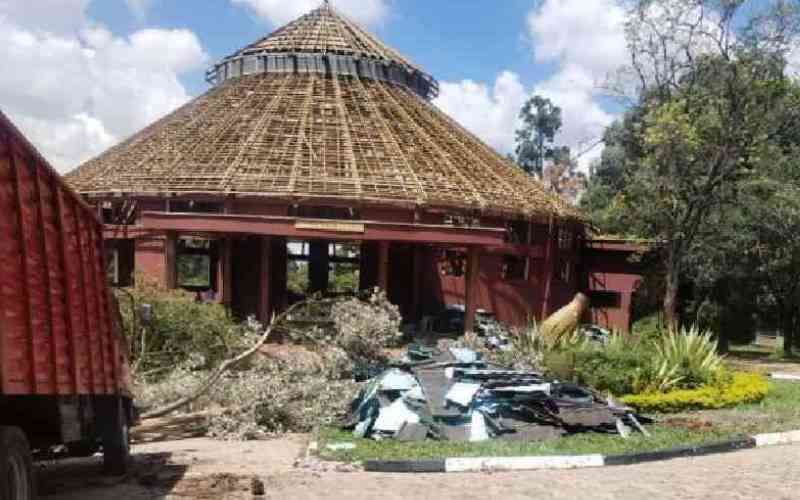 How taxpayers' billions are sinking in shadowy Bomas project How taxpayers' billions are sinking in shadowy Bomas project