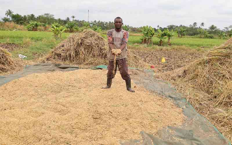 Humanitarian groups call for shift to climate-smart farming to combat food insecurity Humanitarian groups call for shift to climate-smart farming to combat food insecurity