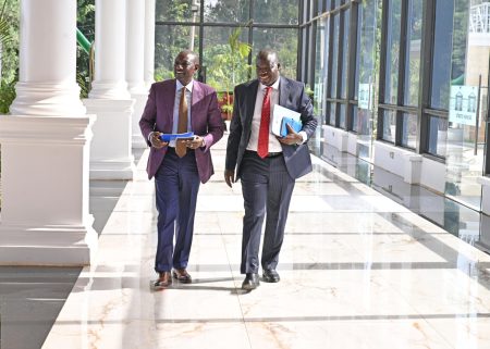 IEBC vetting: Order could trigger crisis