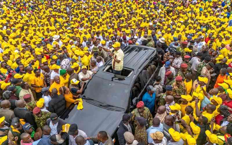 In politics, careless words can cause mayhem In politics, careless words can cause mayhem