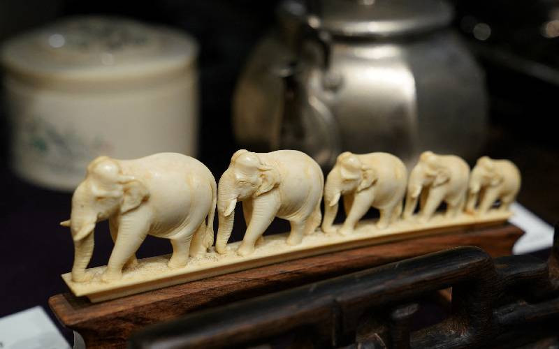 Japanese ivory trade attracts fresh global scrutiny Japanese ivory trade attracts fresh global scrutiny