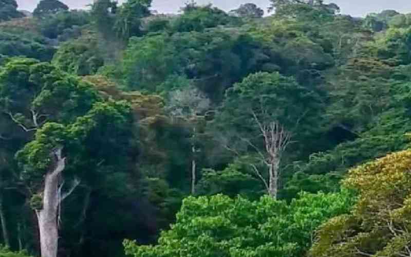Judiciary has a critical role in protection of our environment Judiciary has a critical role in protection of our environment