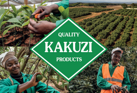 Kenyan Wall Street - Business, Markets & Finance Insights
