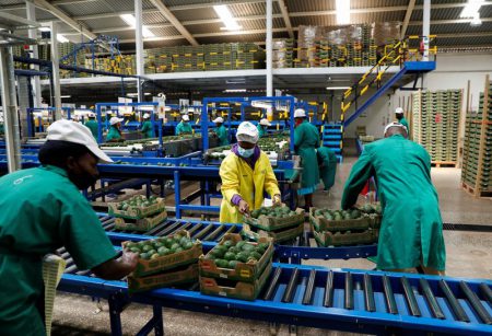 Kenyan Wall Street - Business, Markets & Finance Insights